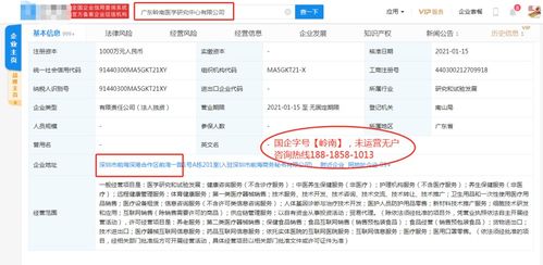 新材料技术推广服务 连接创新与应用的桥梁